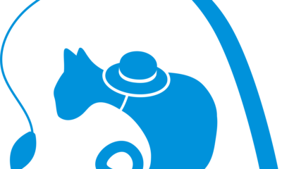 サイトリニューアル！