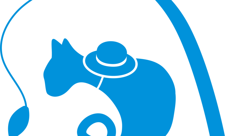 サイトリニューアル！