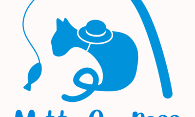 Mottu Compass始動！